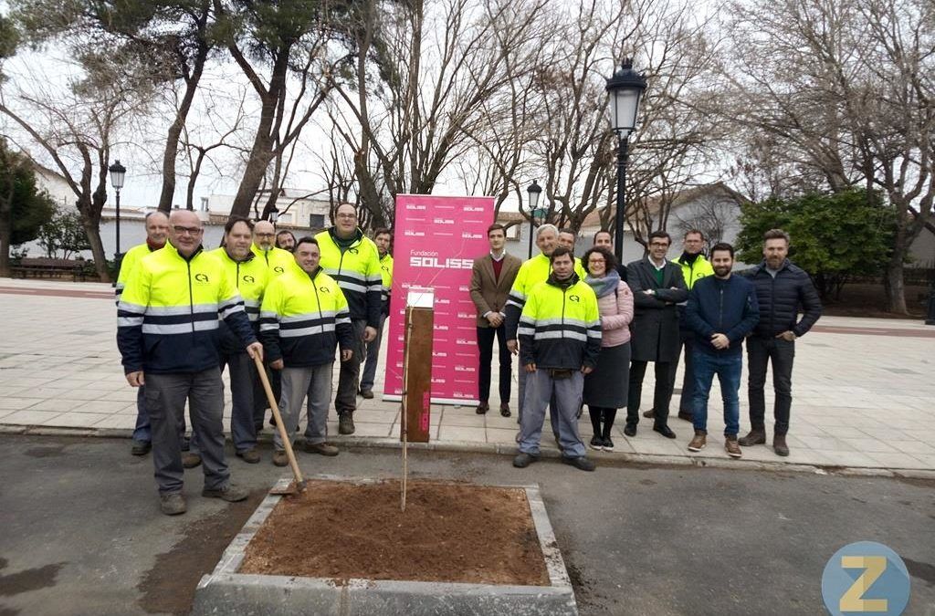 Fundación Cadisla colabora con el Ayuntamiento de Tomelloso y Fundación Soliss en la recuperación del Olmo
