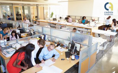 Plan Extraordinario de Empleo de la Oficina de Vida Inclusiva