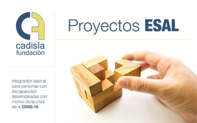 Proyectos ESAL para personas desempleadas con discapacidad