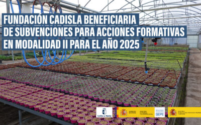 Fundación Cadisla beneficiaria de subvenciones para acciones formativas en Modalidad II para el año 2025