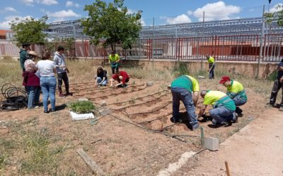 Alumnos del IES Airén y FUNDACIÓN CADISLA Comparten Conocimientos y Labores en el «Aula Didáctica del Campo»