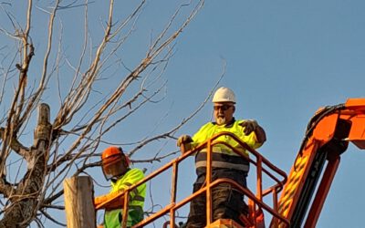 La empresa  Centro Logístico TOBER, apuesta por FUNDACIÓN CADISLA.