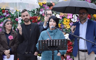 CAMPAÑA DE DISCAPACIDAD 2025