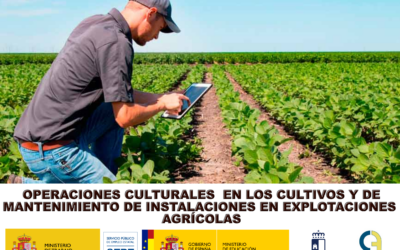 Fundación Cadisla Impulsa la Empleabilidad con Nuevo Módulo Formativo en Tomelloso