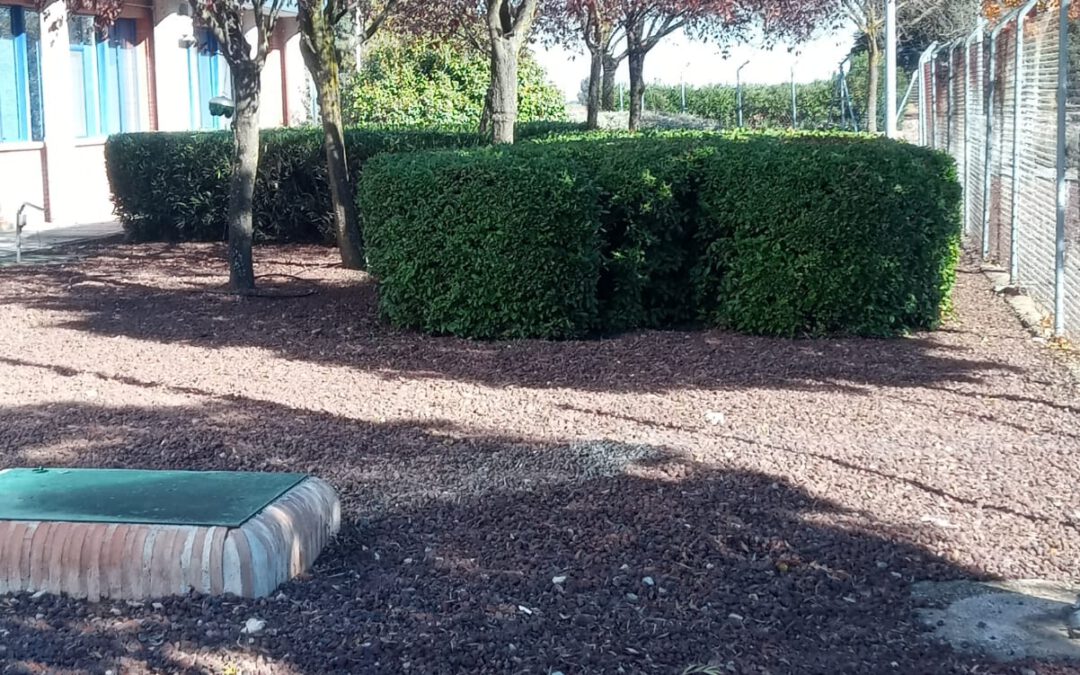 Fundación Cadisla inicia los trabajos de mantenimiento de zonas verdes en el Centro de Producción y Logístico de Pernod Ricard España en Las Labores