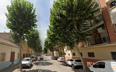 Fundación Cadisla amplia su compromiso con el empleo gracias a nuevos trabajos especializados de poda en altura en Alcázar de San Juan